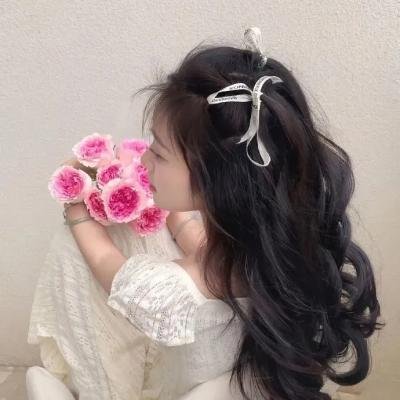 校园合唱团的秘密 海报